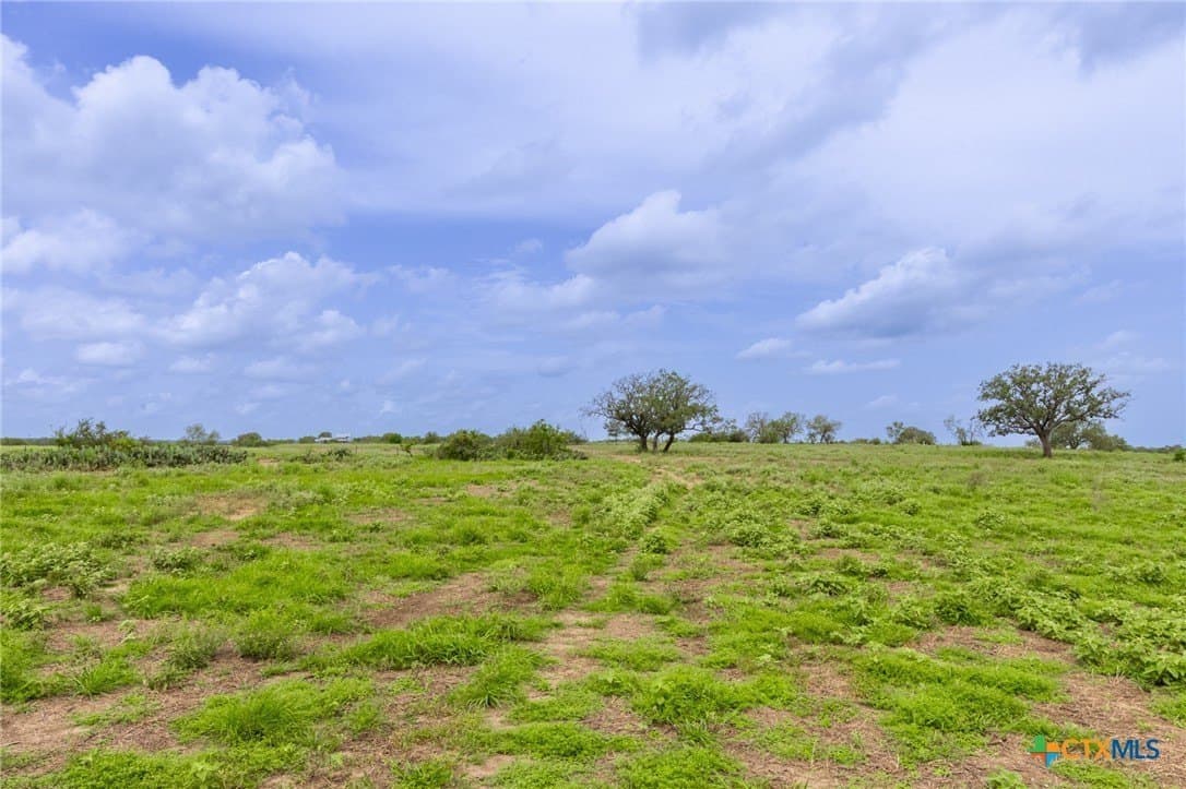 54.08 acres in Guadalupe County - photo 5