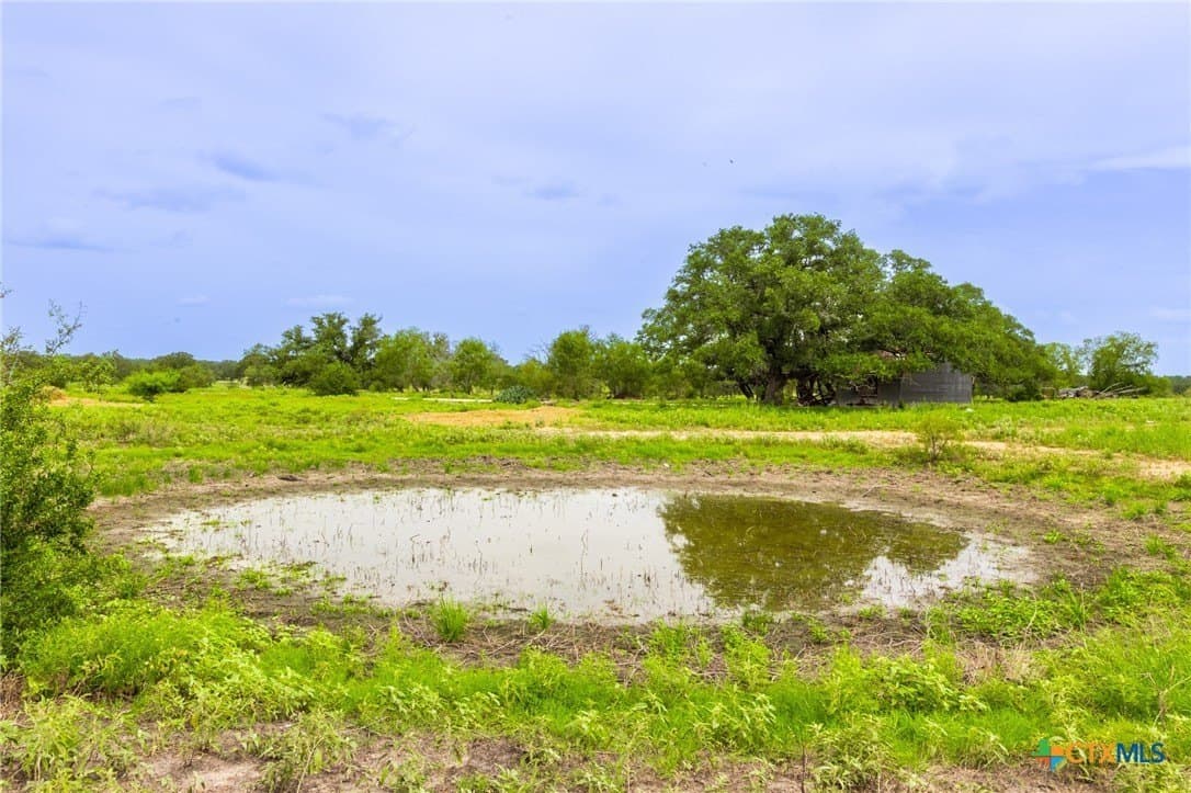 54.08 acres in Guadalupe County - photo 4