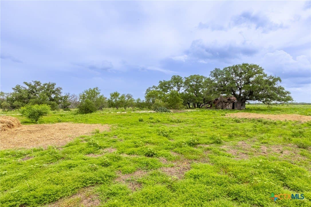 54.08 acres in Guadalupe County - photo 6