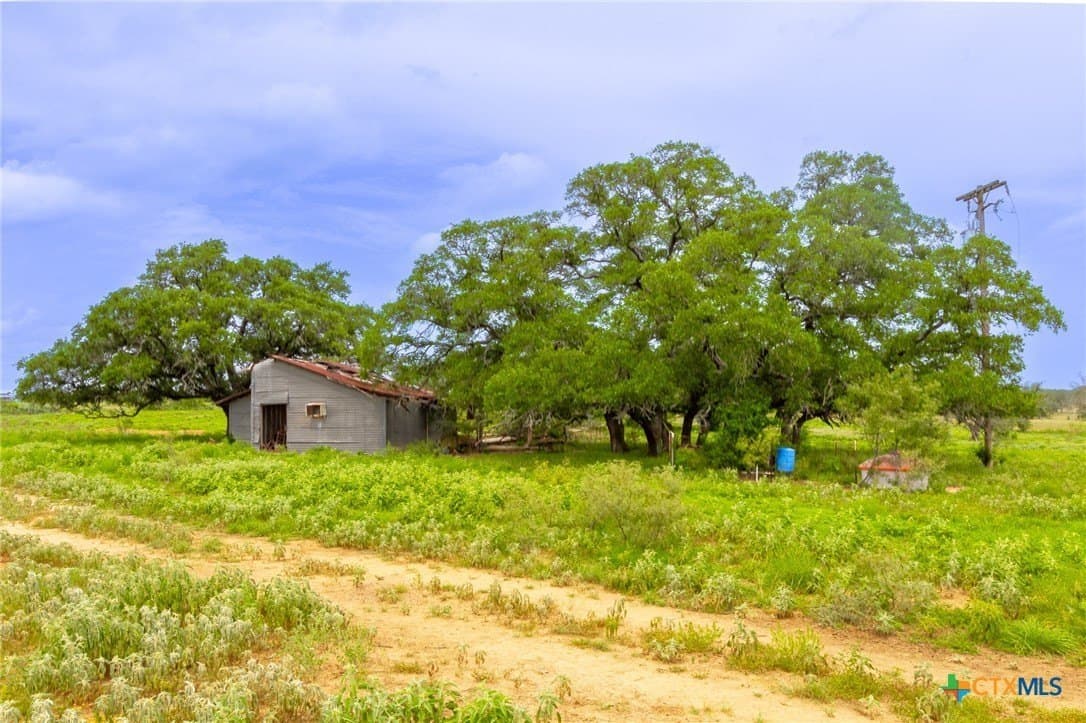 54.08 acres in Guadalupe County - photo 3