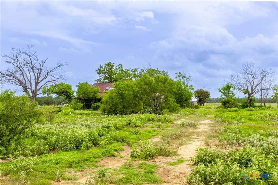 54.08 acres in Guadalupe County - photo 7