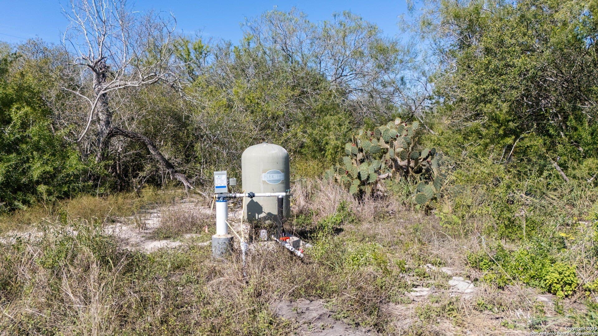 20 acres in Bee County - photo 16