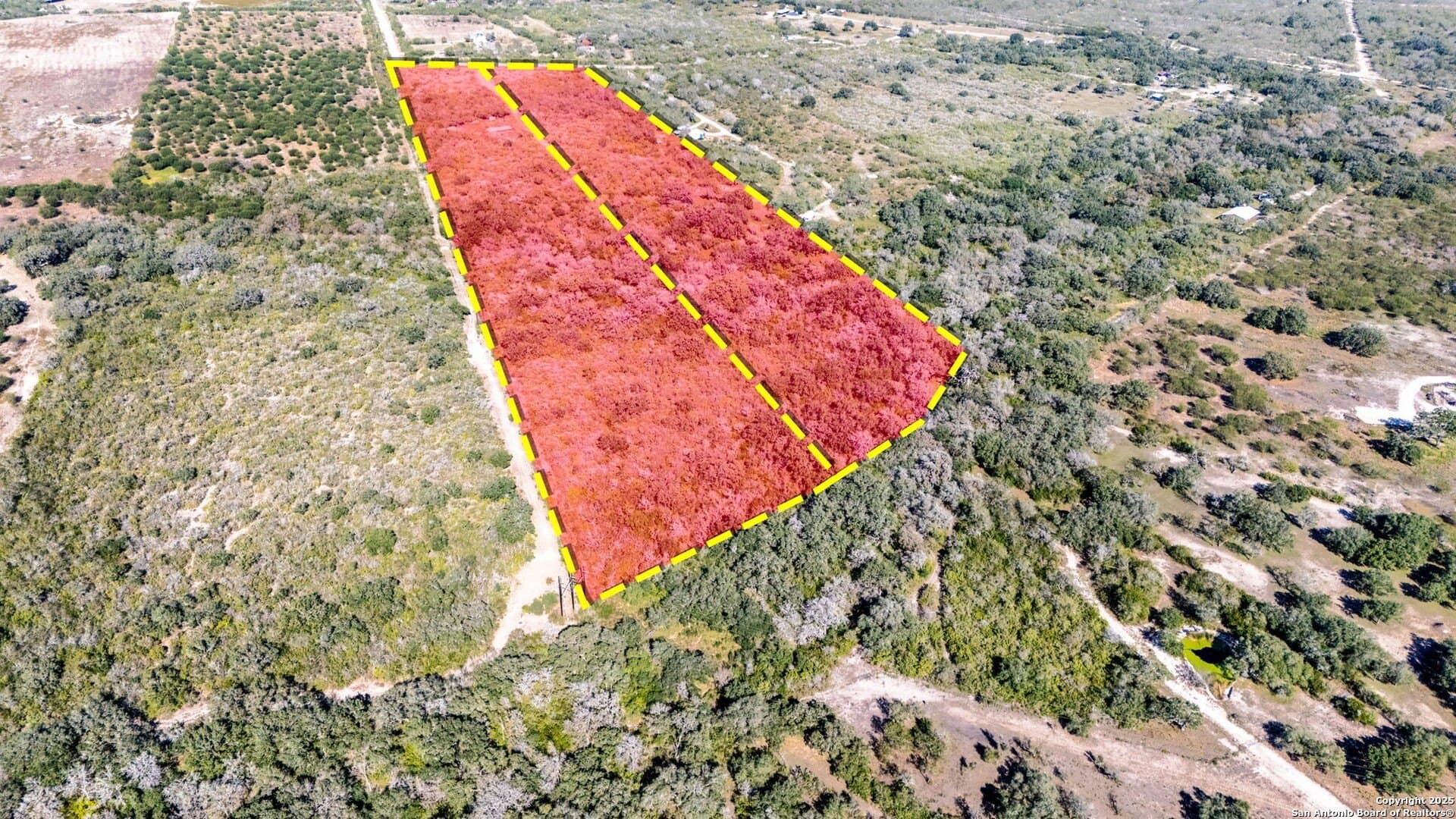 20 acres in Bee County - photo 2