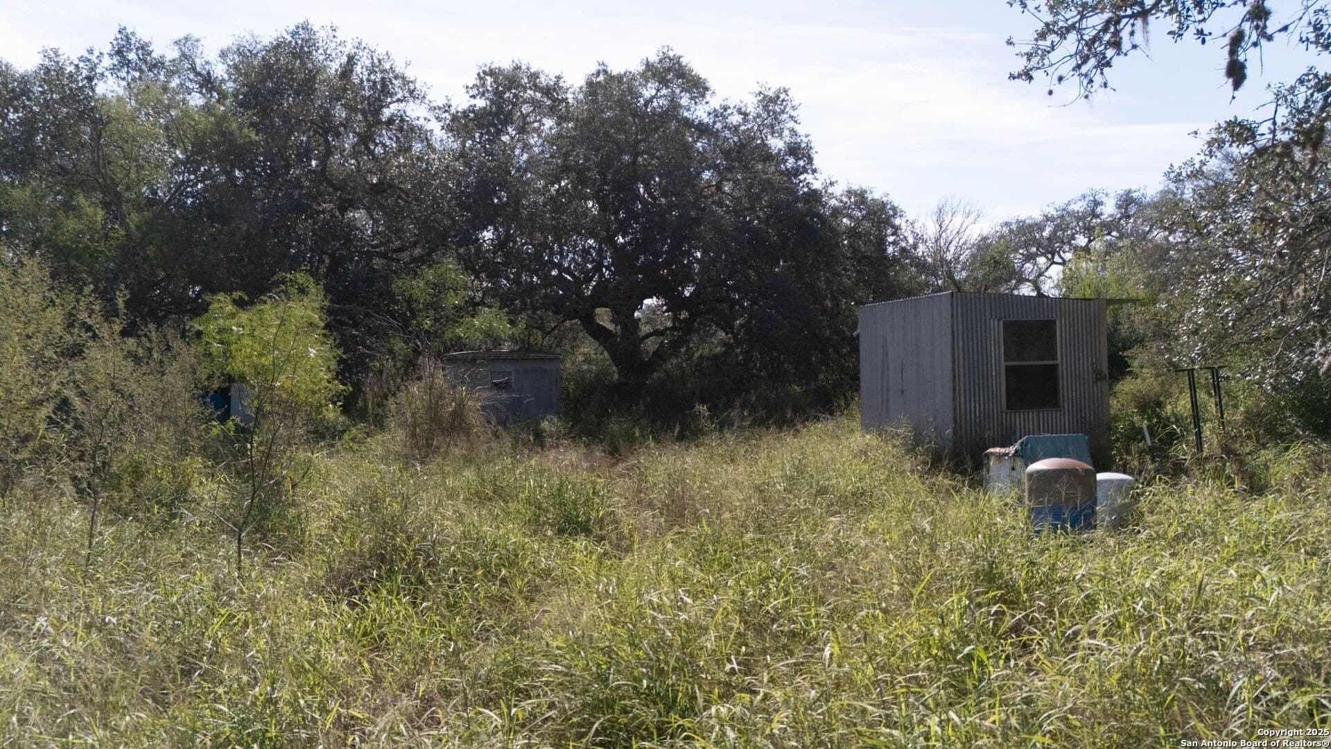 20 acres in Bee County - photo 9