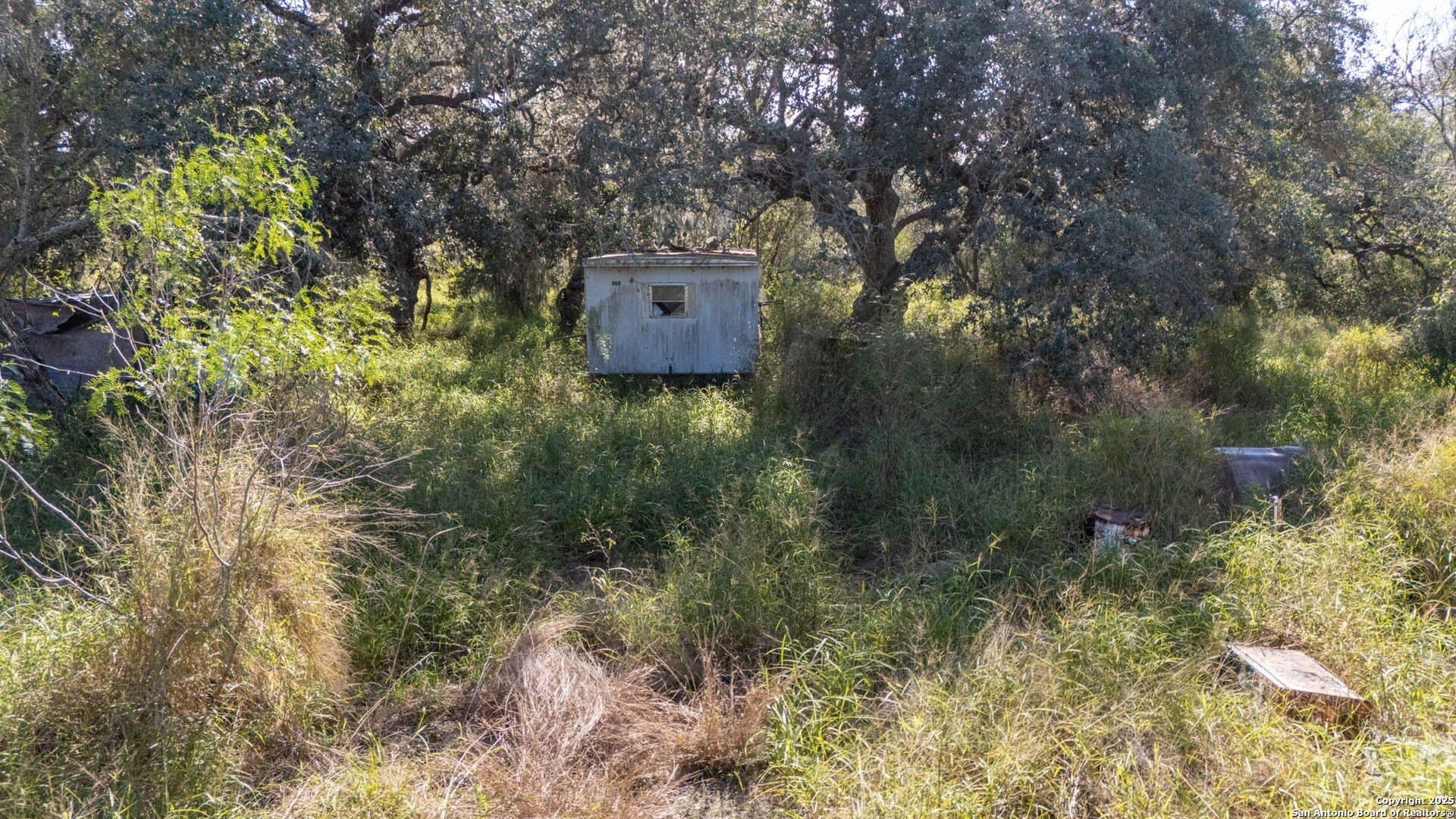 20 acres in Bee County - photo 6