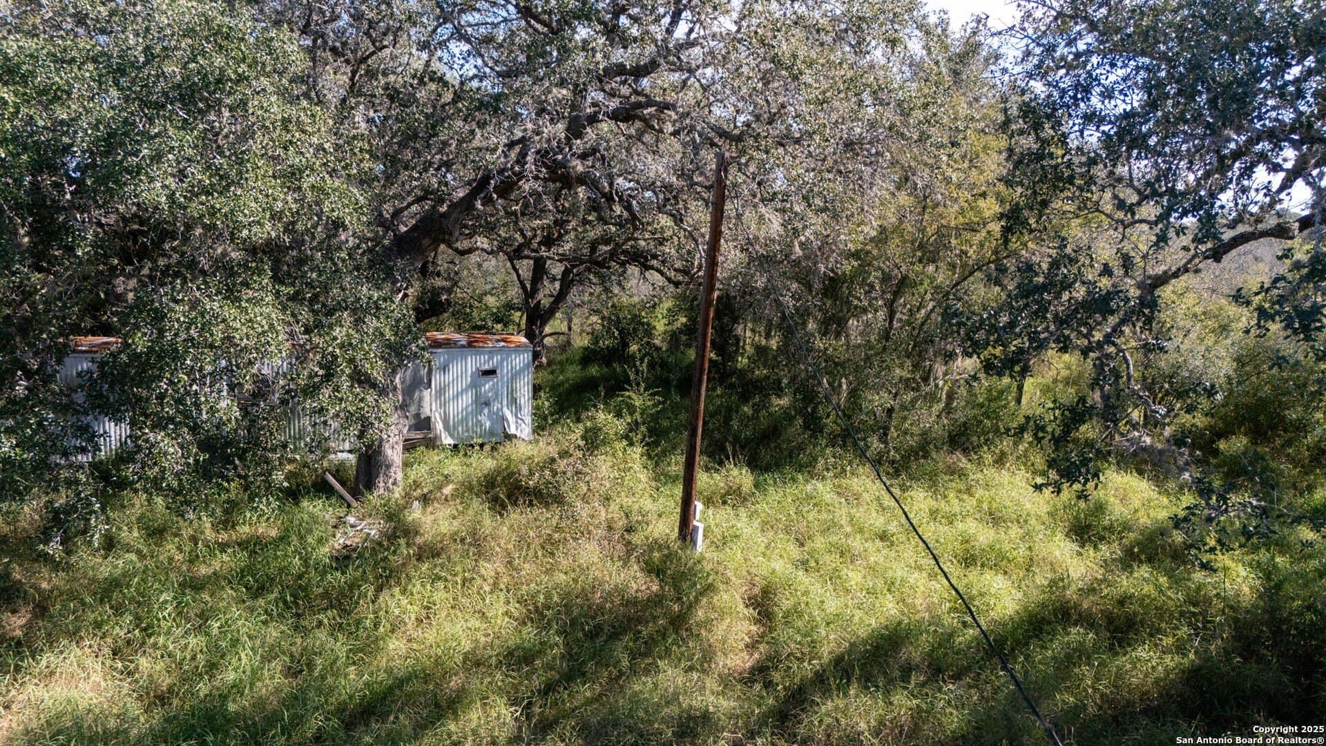 20 acres in Bee County - photo 8