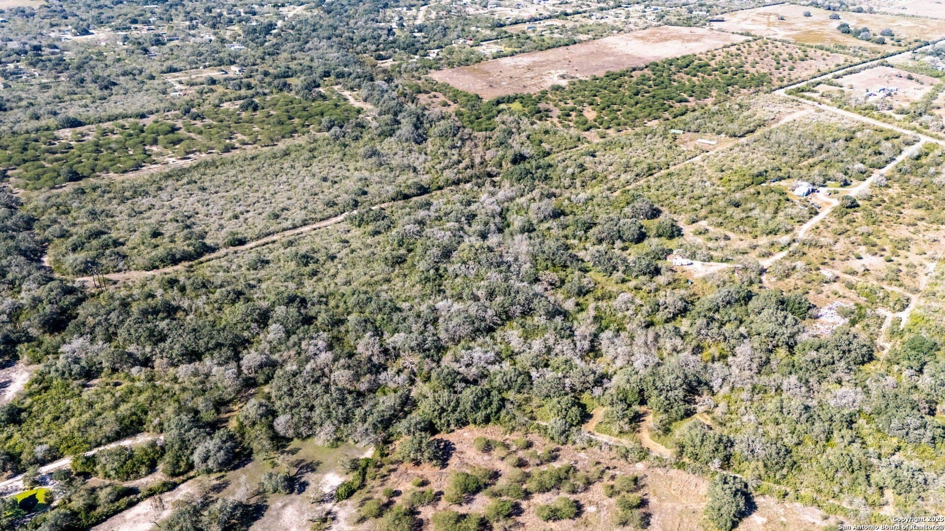 20 acres in Bee County - photo 7
