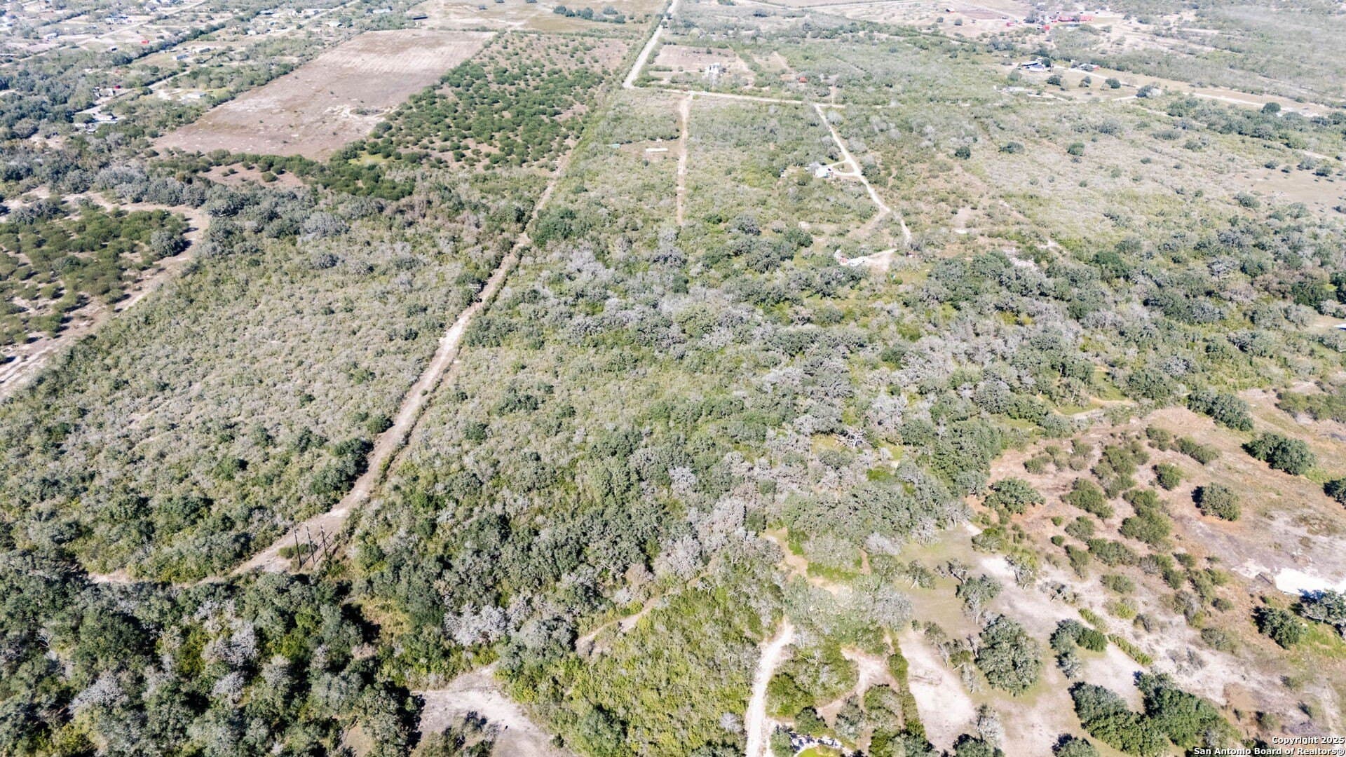20 acres in Bee County - photo 3