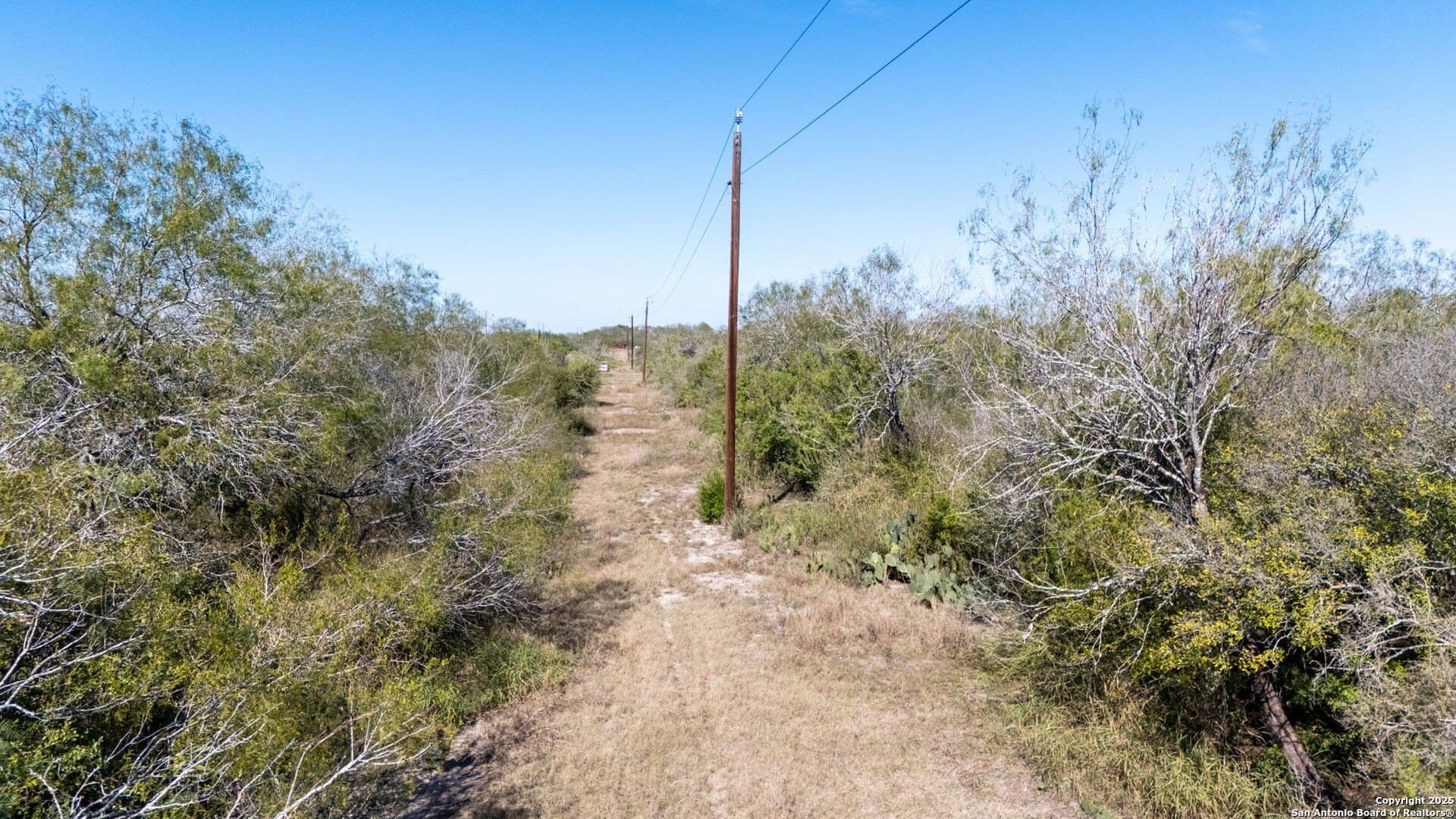 20 acres in Bee County - photo 11