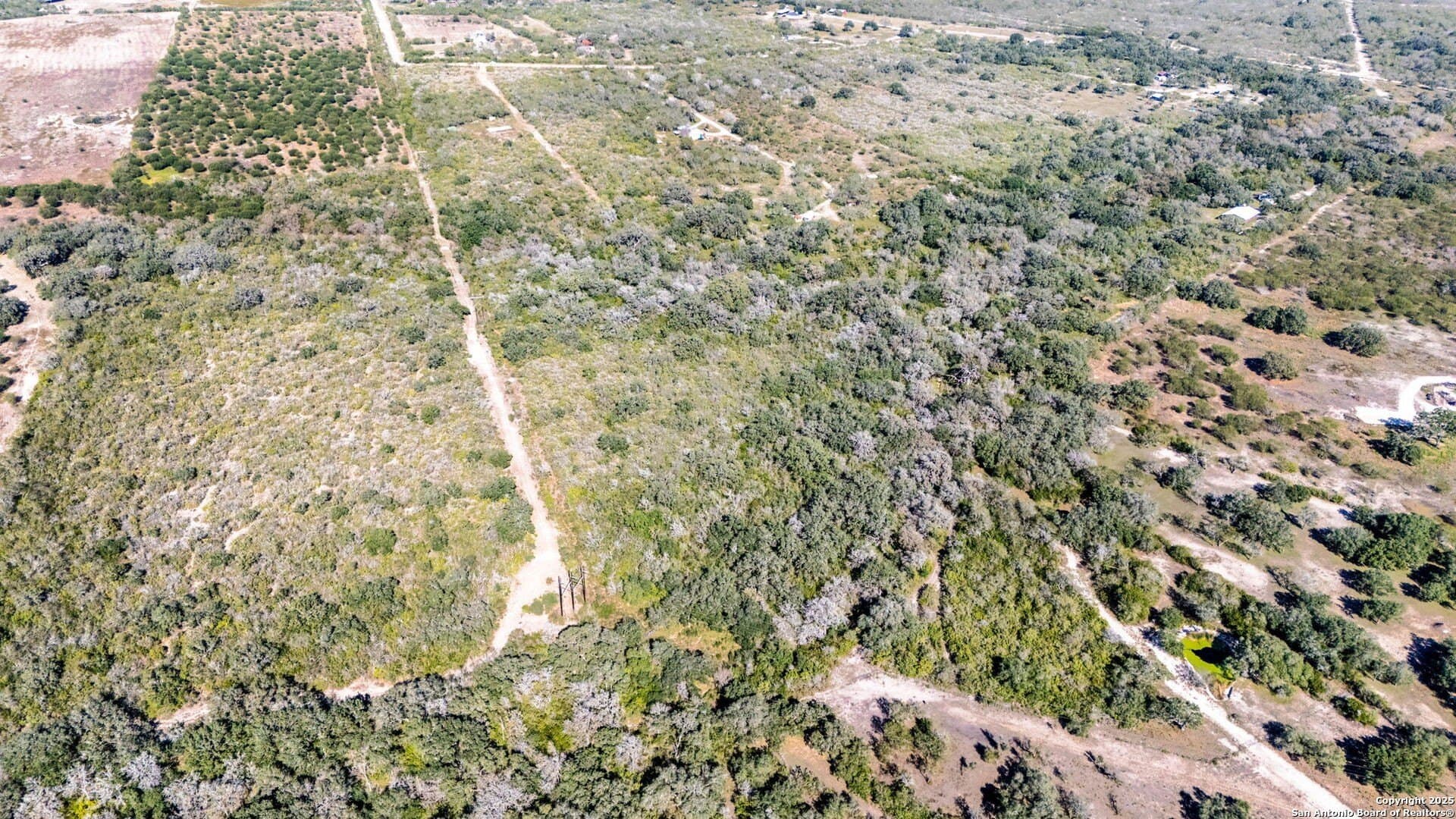 20 acres in Bee County - photo 4
