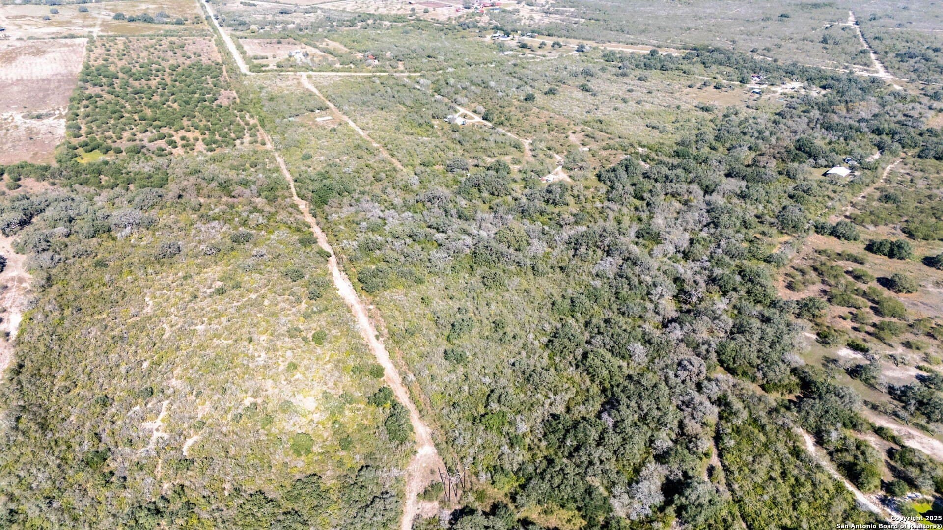 20 acres in Bee County - photo 18
