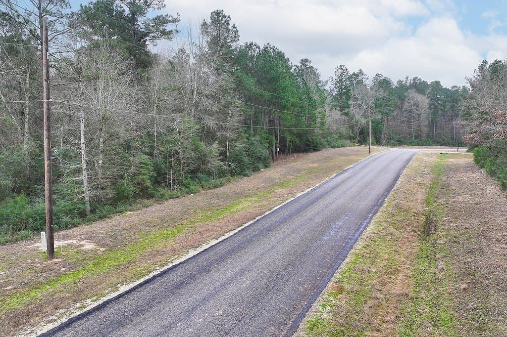 2 acres in Walker County - photo 6