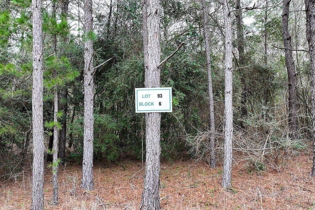 2 acres in Walker County - photo 3