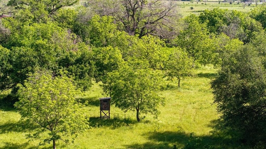 84.93 acres in Hood County - photo 19