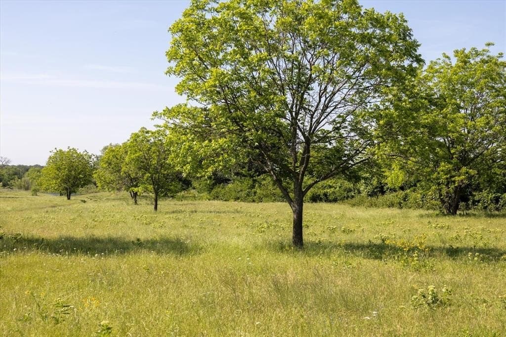 84.93 acres in Hood County - photo 5