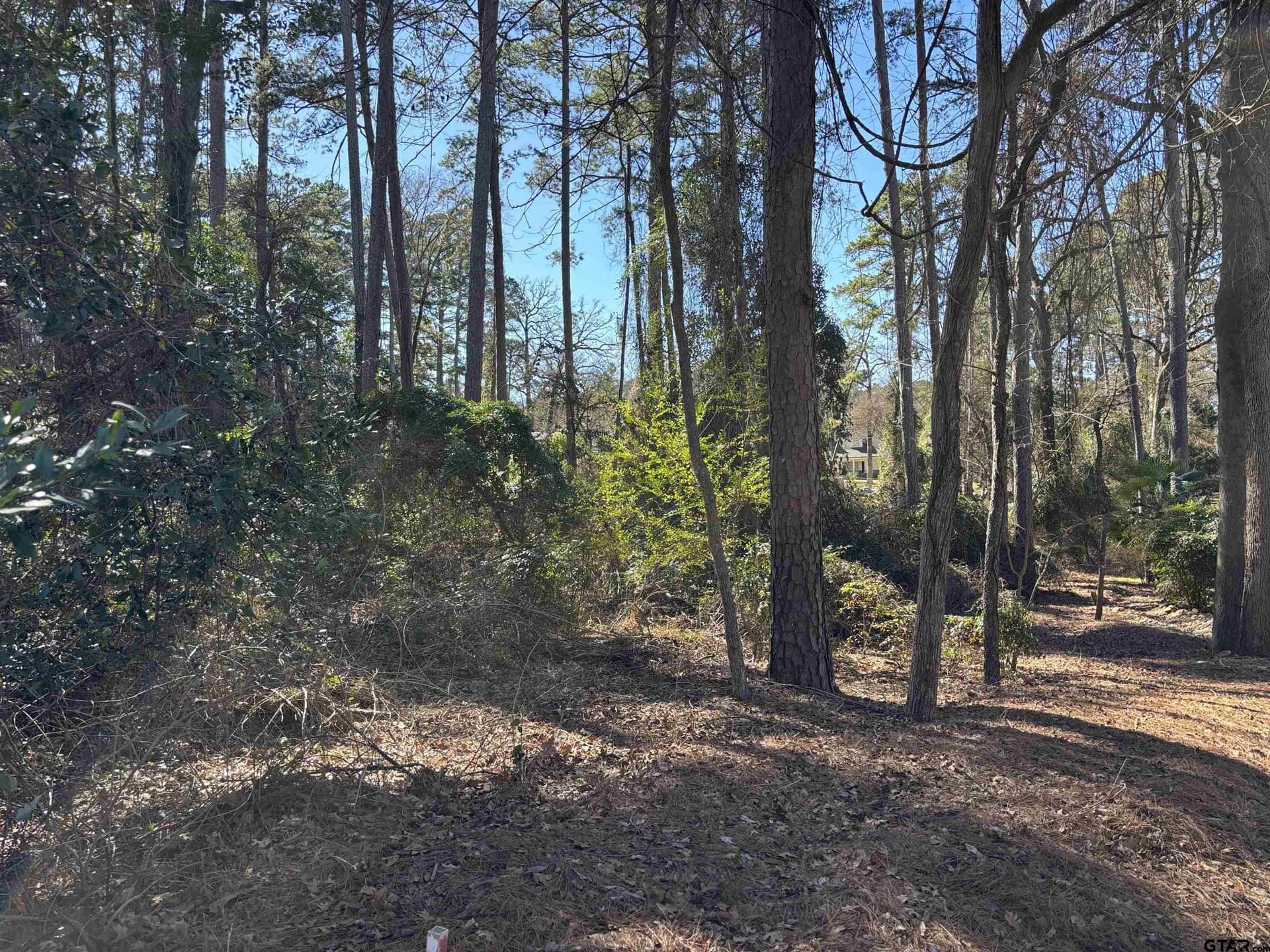 lot 17 Greenwood Trl