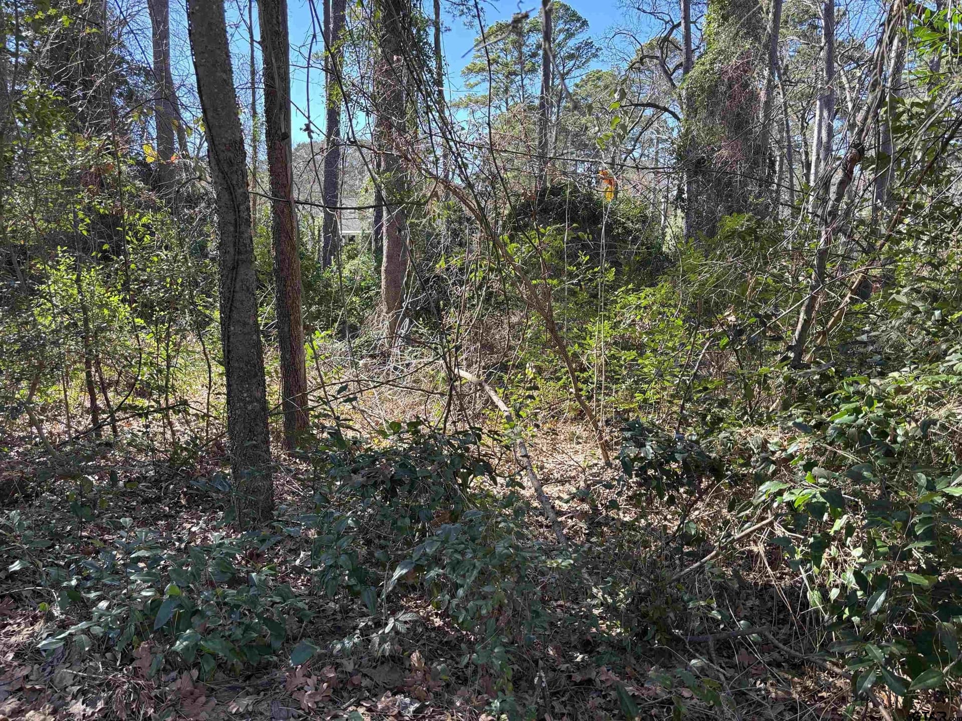 0.34 acres in Smith County - photo 2