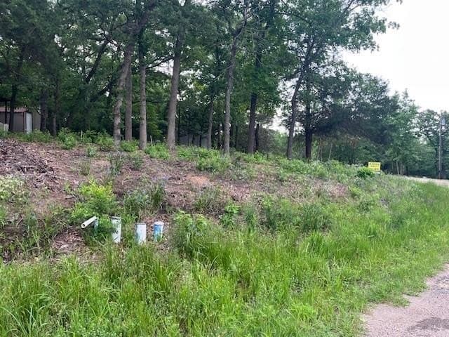 0.15 acres in Van Zandt County - photo 4