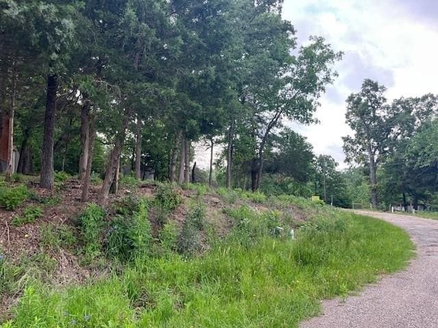 0.15 acres in Van Zandt County - photo 3