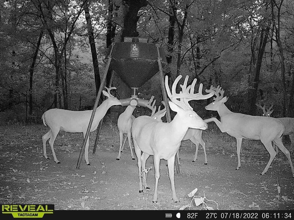 94.96 acres in Grayson County - photo 39