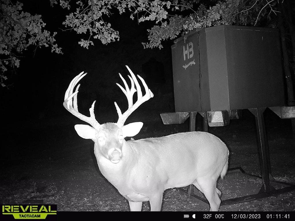 94.96 acres in Grayson County - photo 37