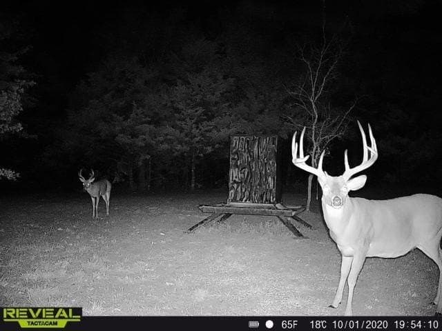 94.96 acres in Grayson County - photo 38