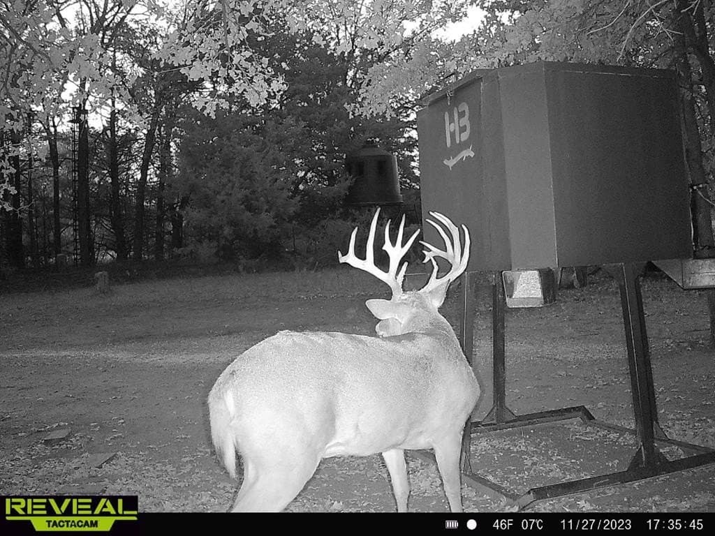 94.96 acres in Grayson County - photo 36
