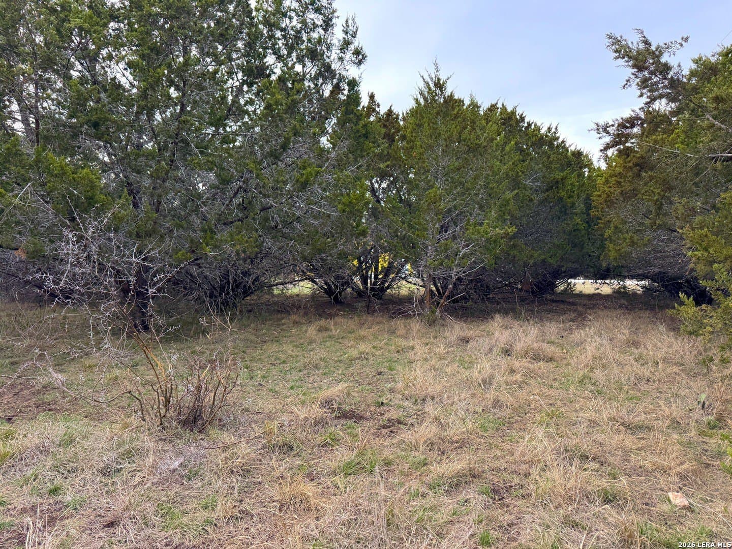 0.19 acres in Comal County - photo 2