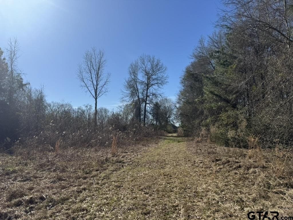 4.98 acres in Smith County - photo 3