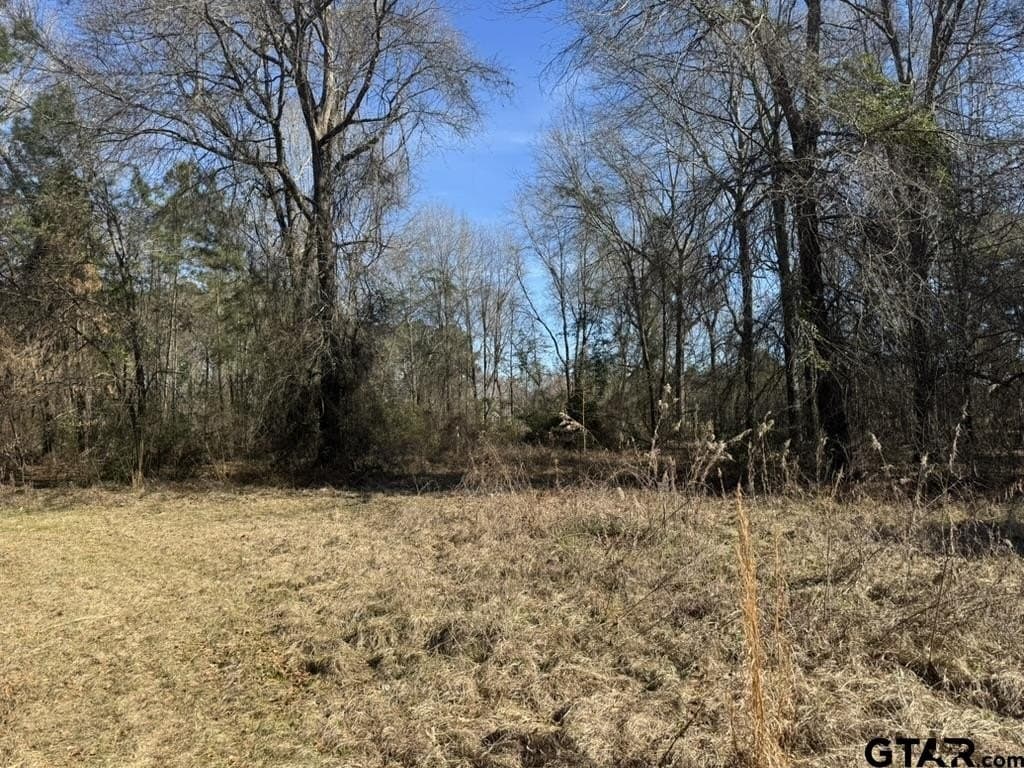 4.98 acres in Smith County - photo 4