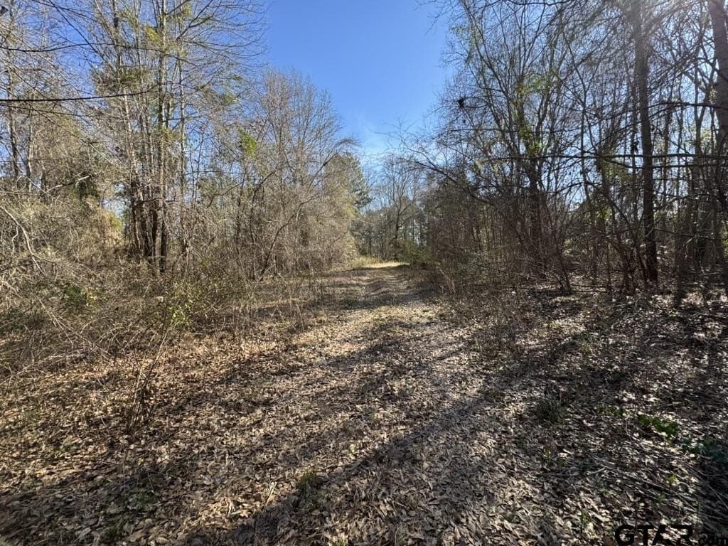 4.98 acres in Smith County - photo 2