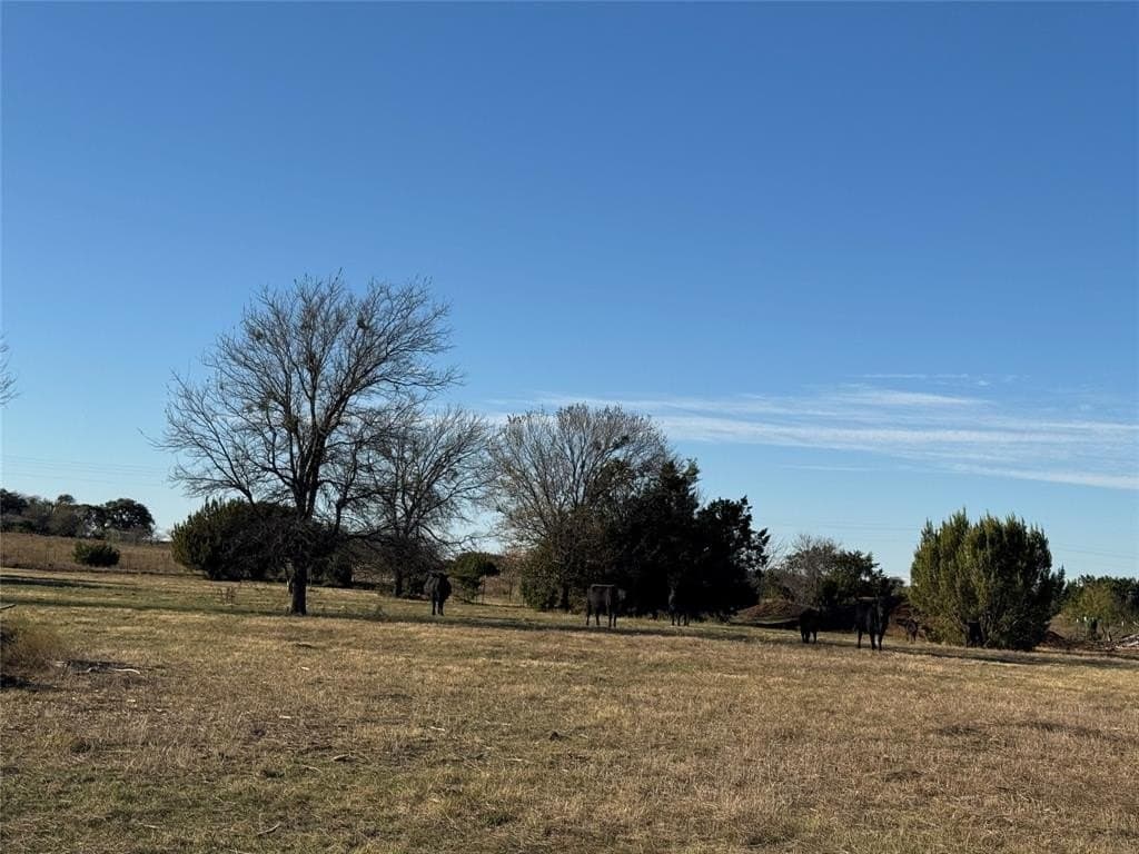 11 acres in Parker County - photo 6