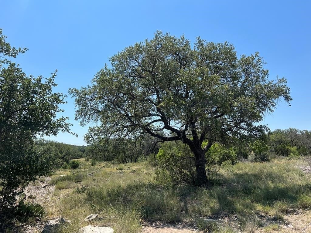 12.16 acres in Tom Green County - photo 2