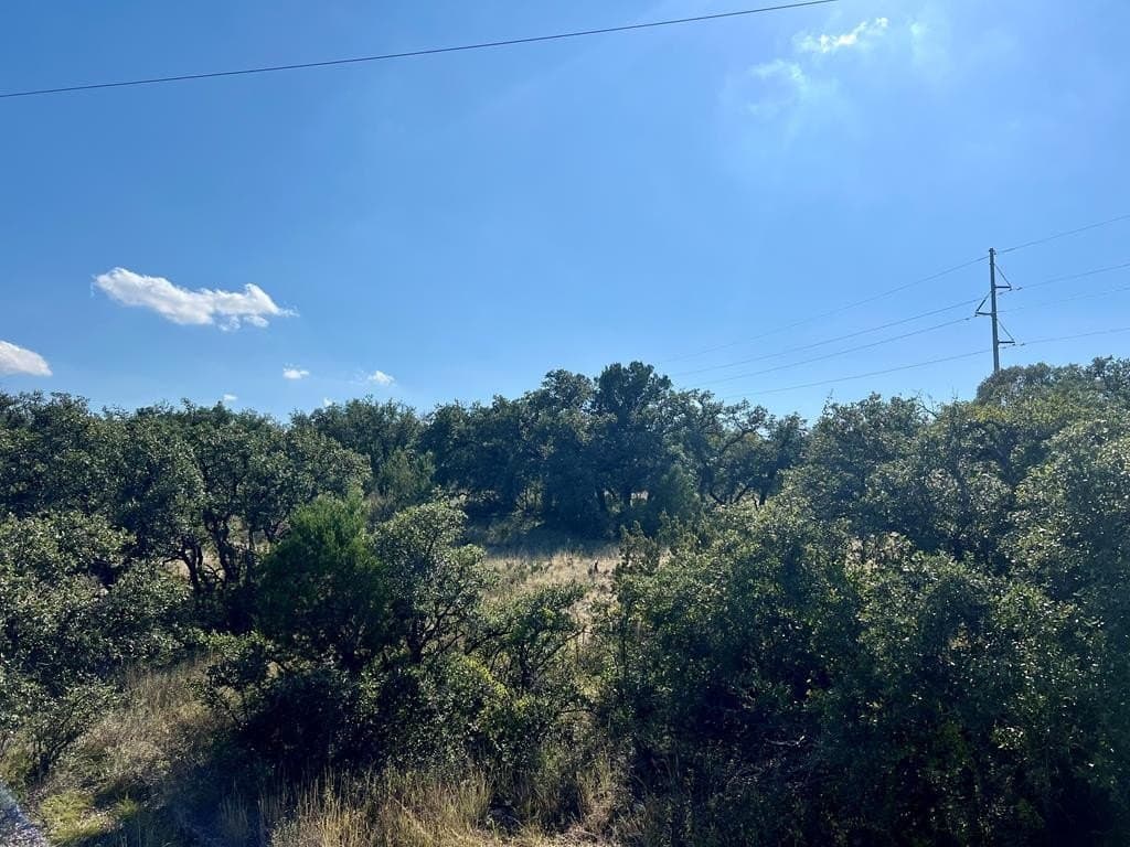12.16 acres in Tom Green County - photo 3