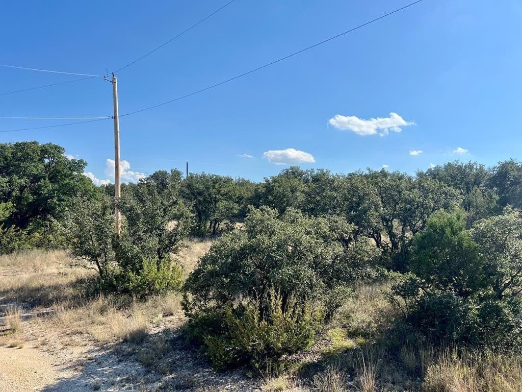 12.16 acres in Tom Green County - photo 5