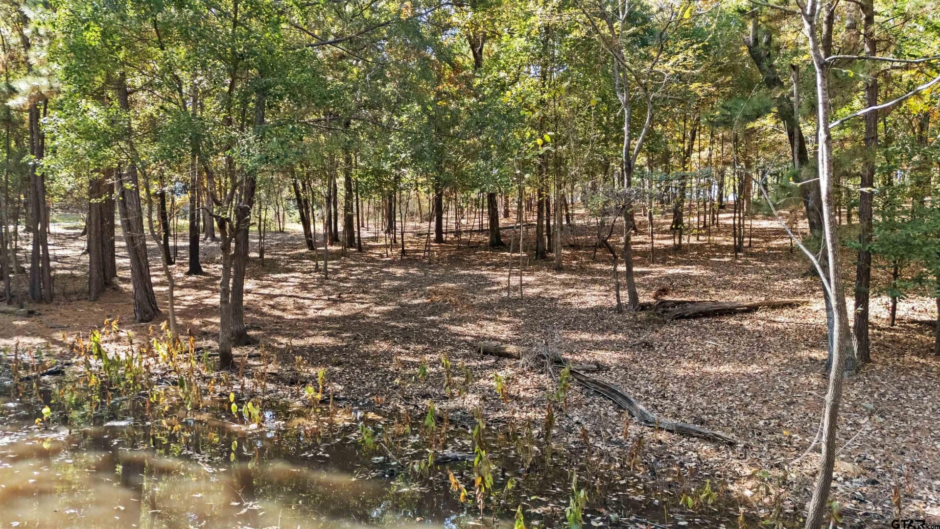 0.52 acres in Smith County - photo 9