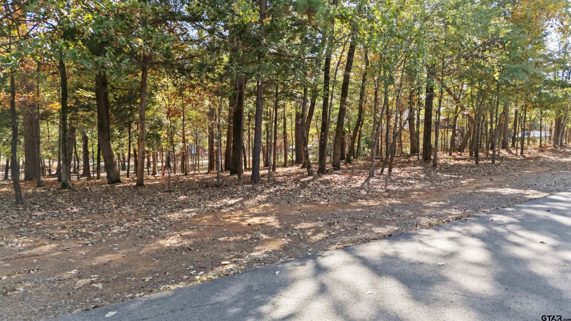 0.52 acres in Smith County - photo 7