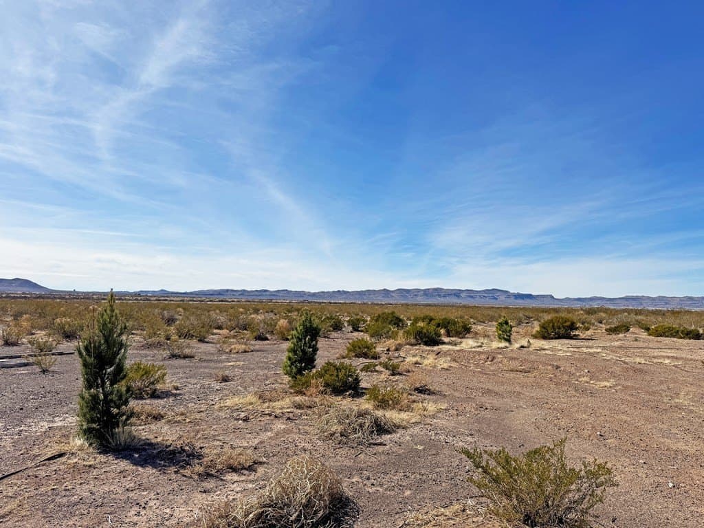 63.89 acres in Jeff Davis County - photo 48