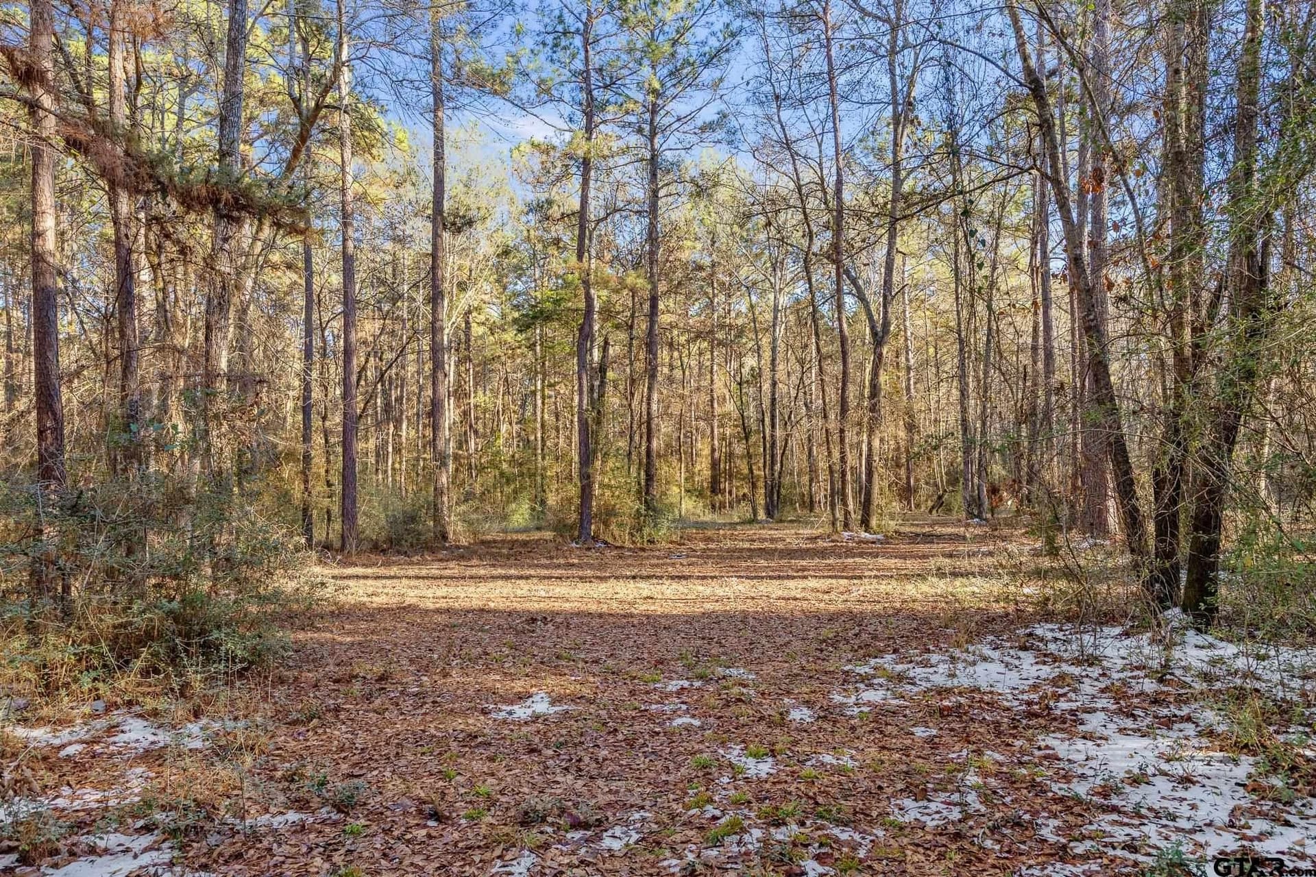 75 acres in Cherokee County - photo 10