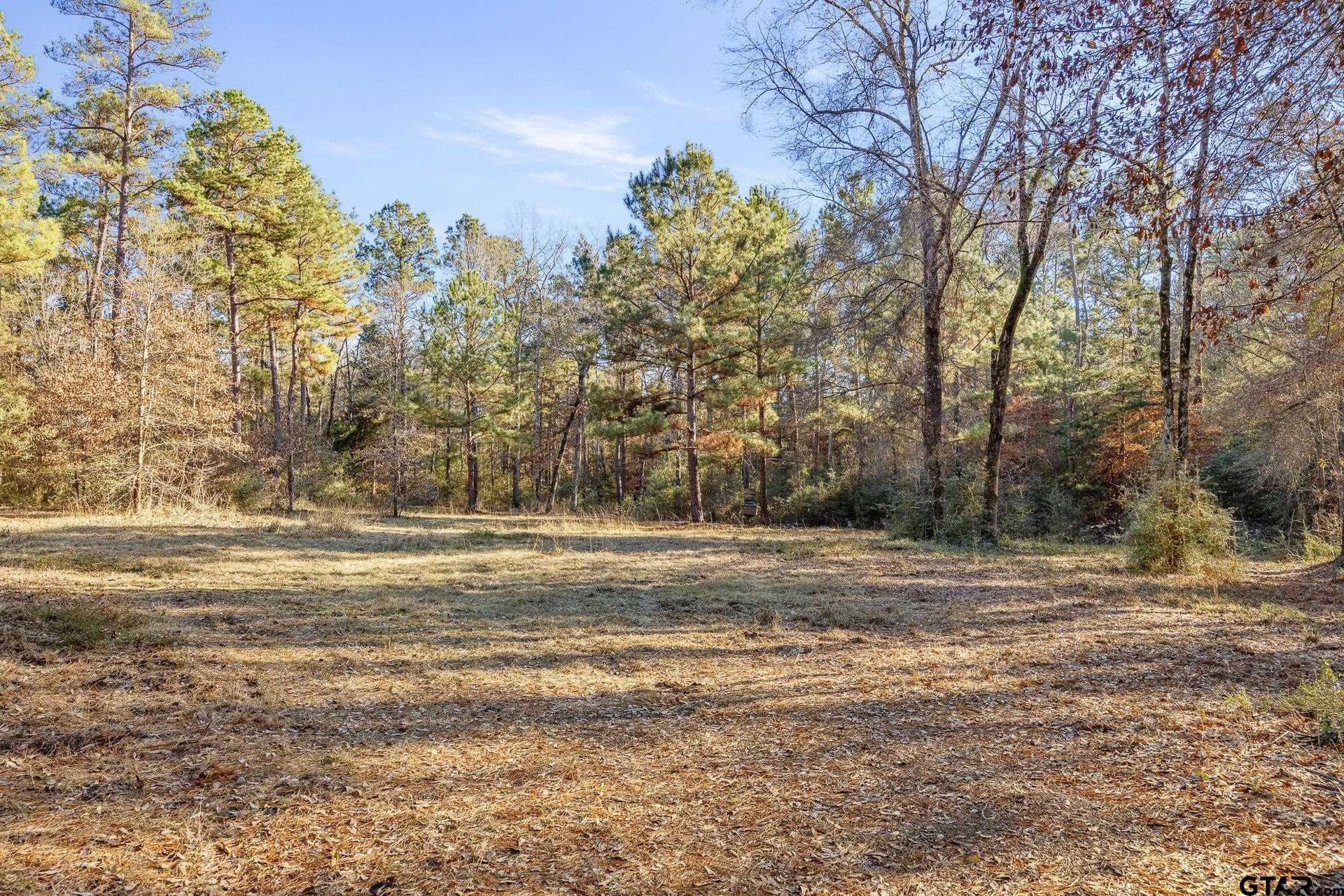 75 acres in Cherokee County - photo 9