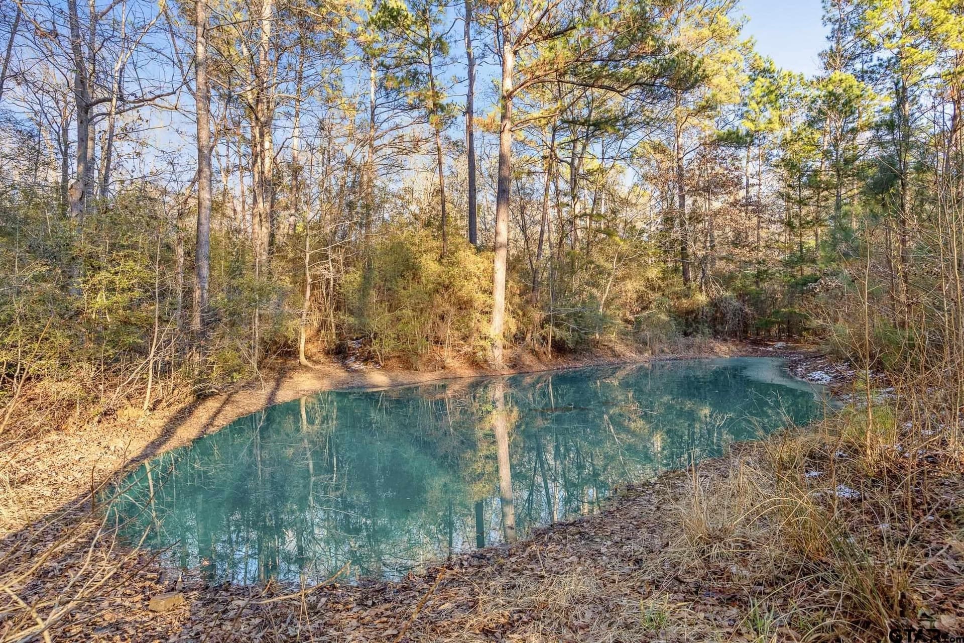 75 acres in Cherokee County - photo 13