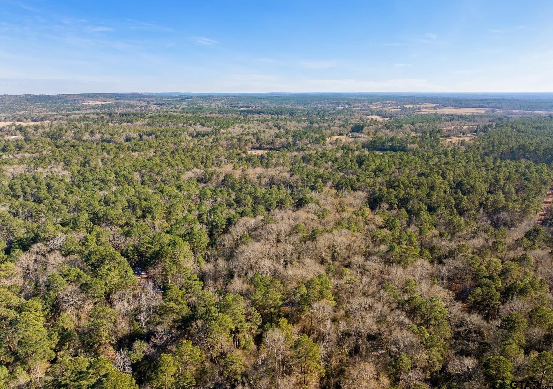 75 acres in Cherokee County - photo 16