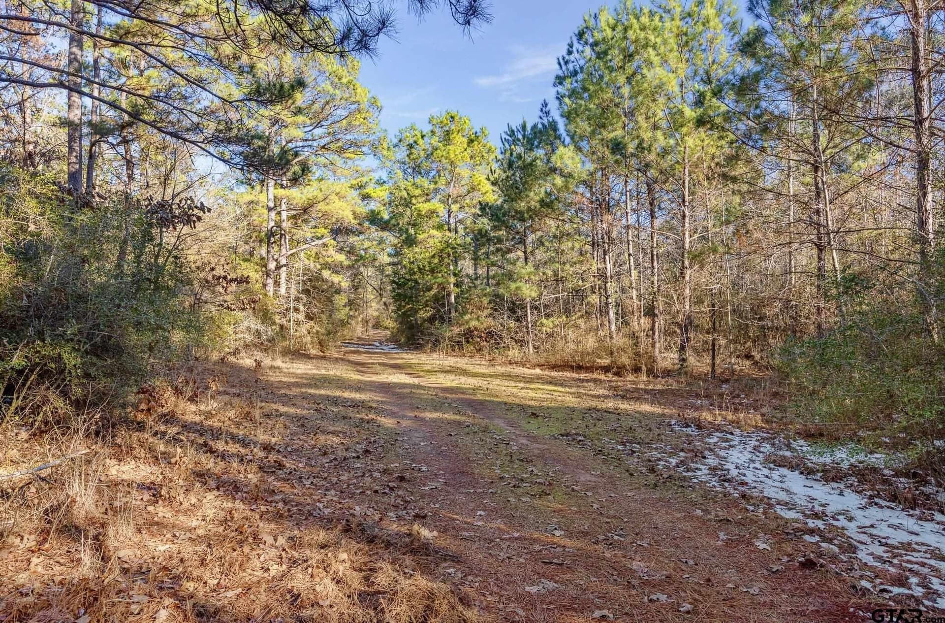 75 acres in Cherokee County - photo 12