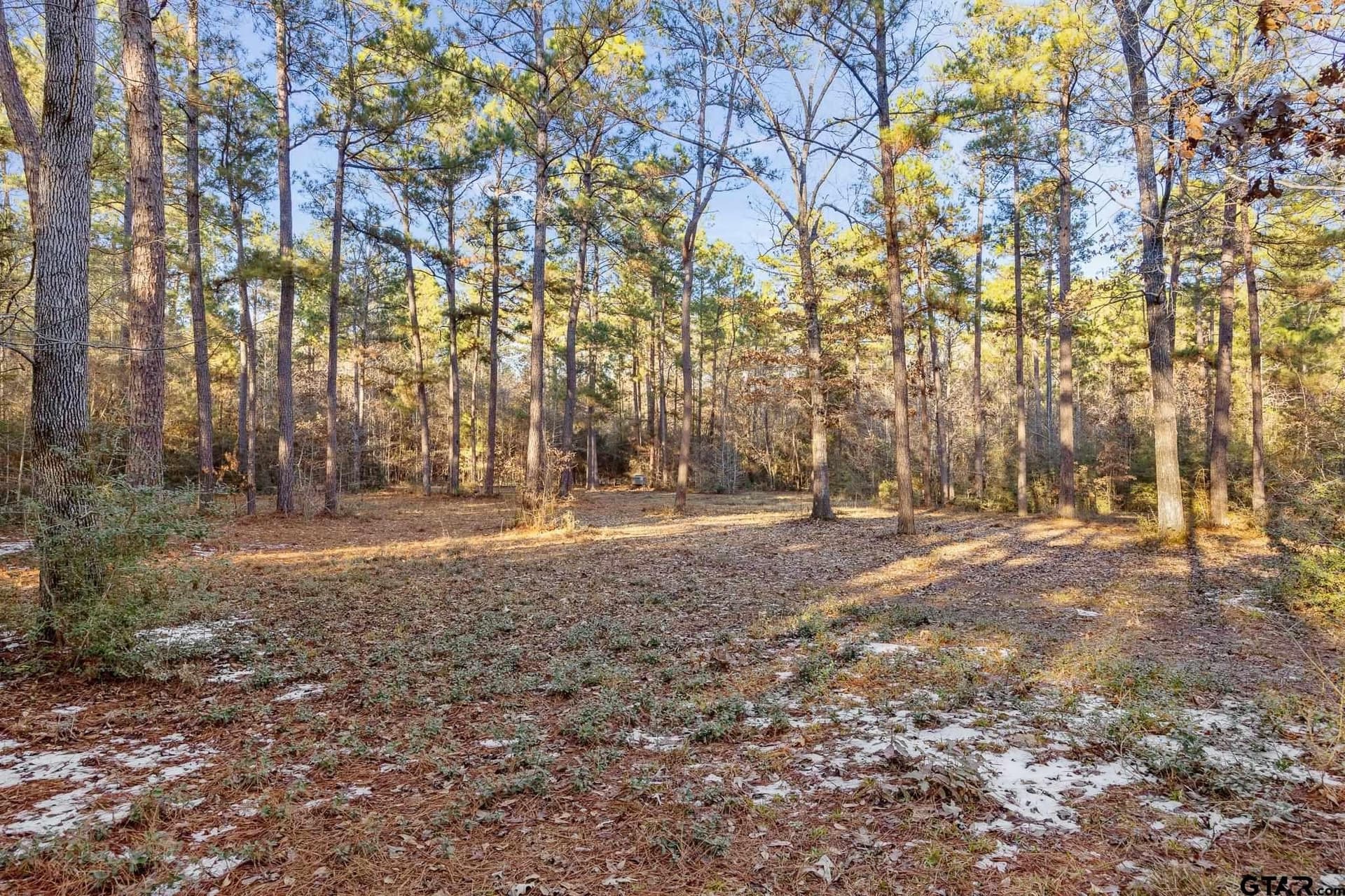 75 acres in Cherokee County - photo 5