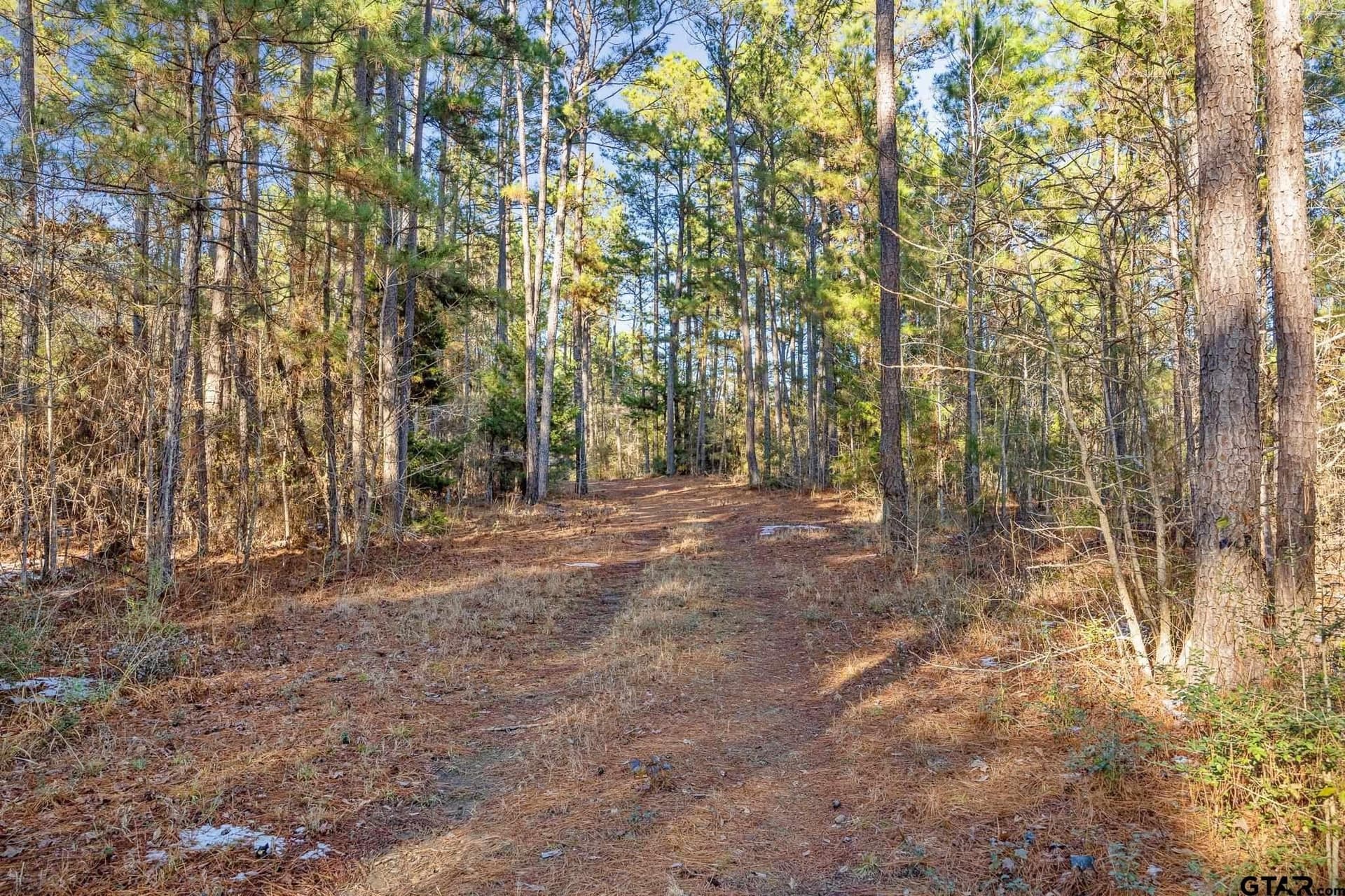 75 acres in Cherokee County - photo 11