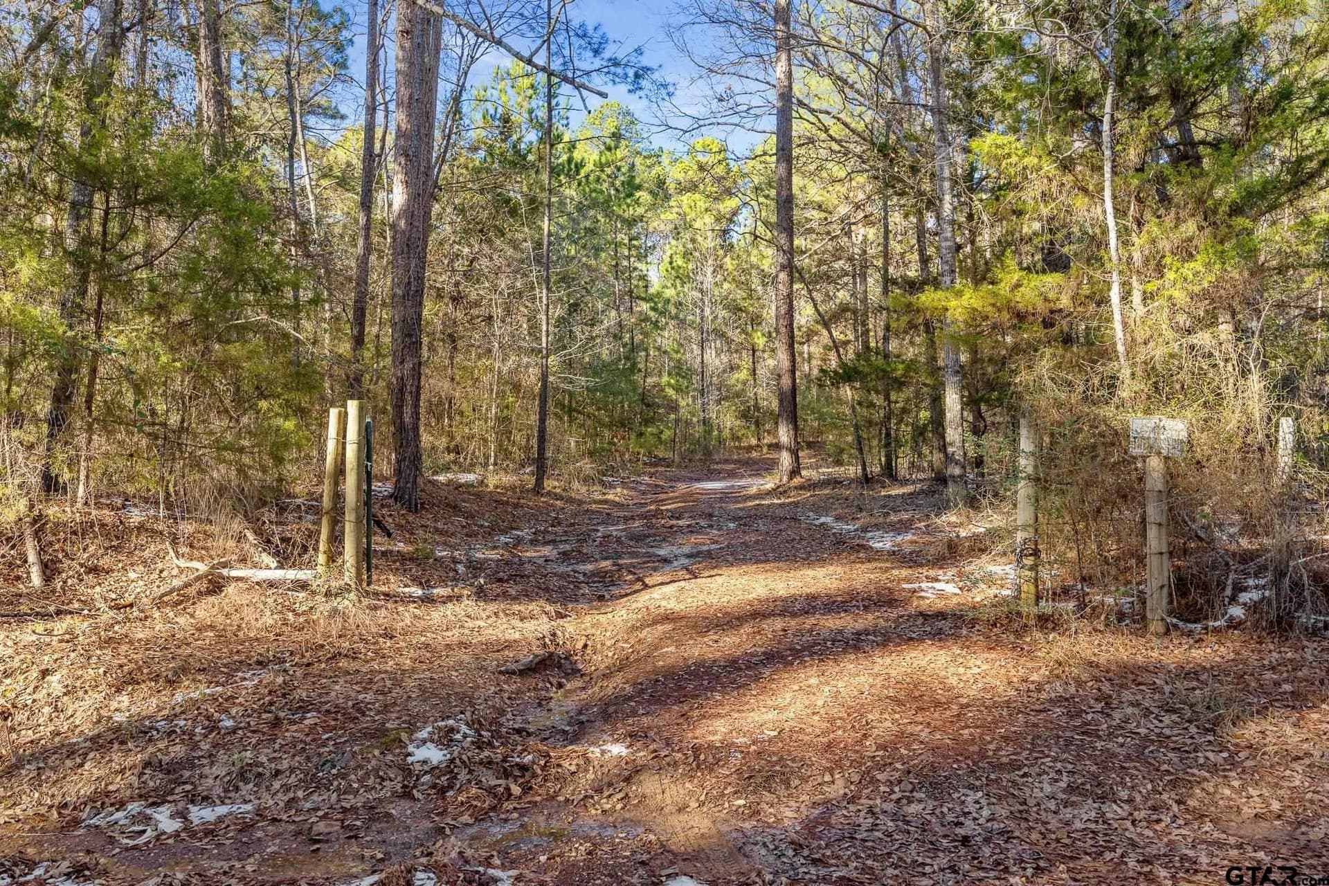 75 acres in Cherokee County - photo 4