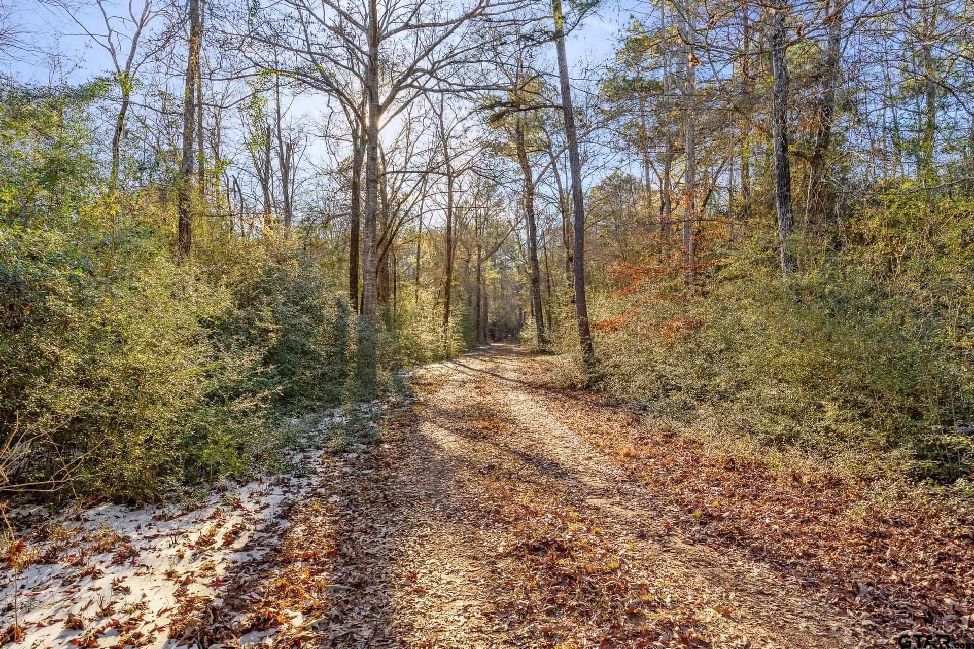 75 acres in Cherokee County - photo 7