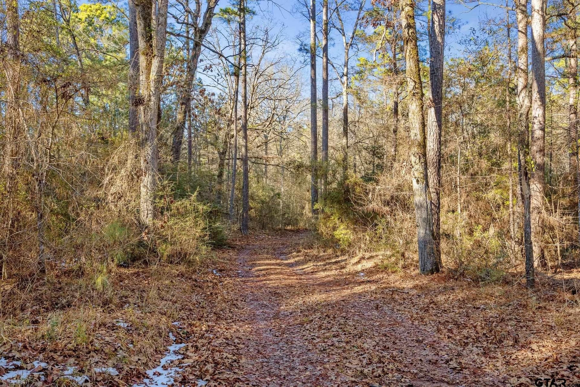 75 acres in Cherokee County - photo 8