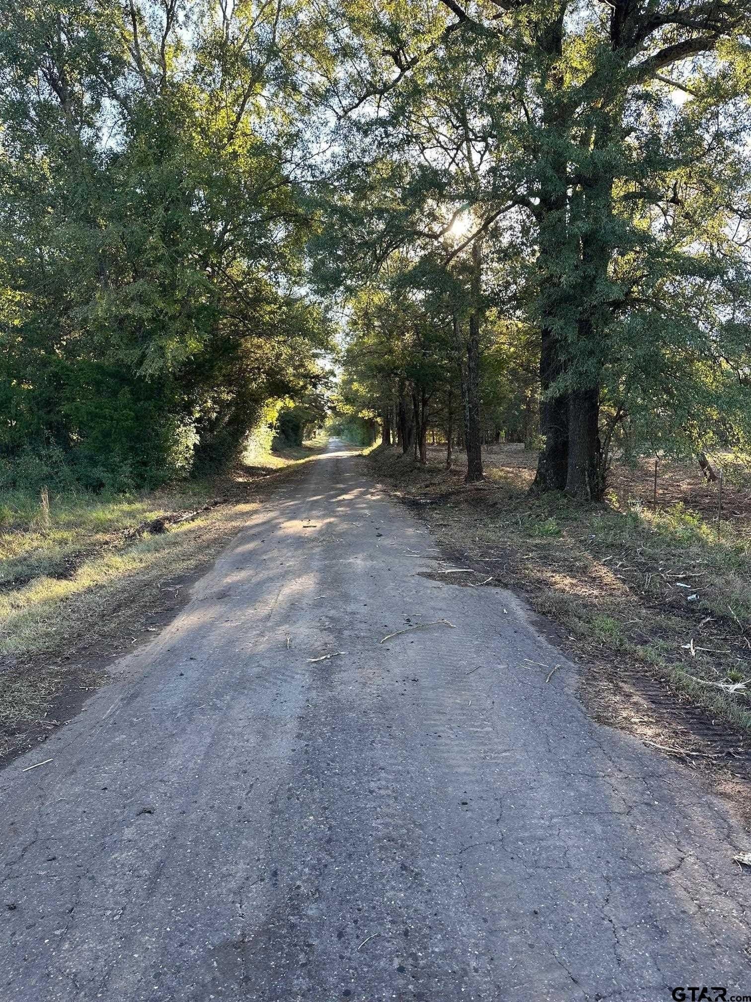 10.8 acres in Panola County - photo 5
