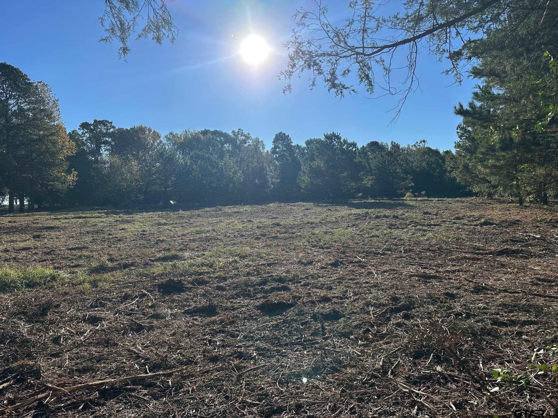 10.8 acres in Panola County - photo 6